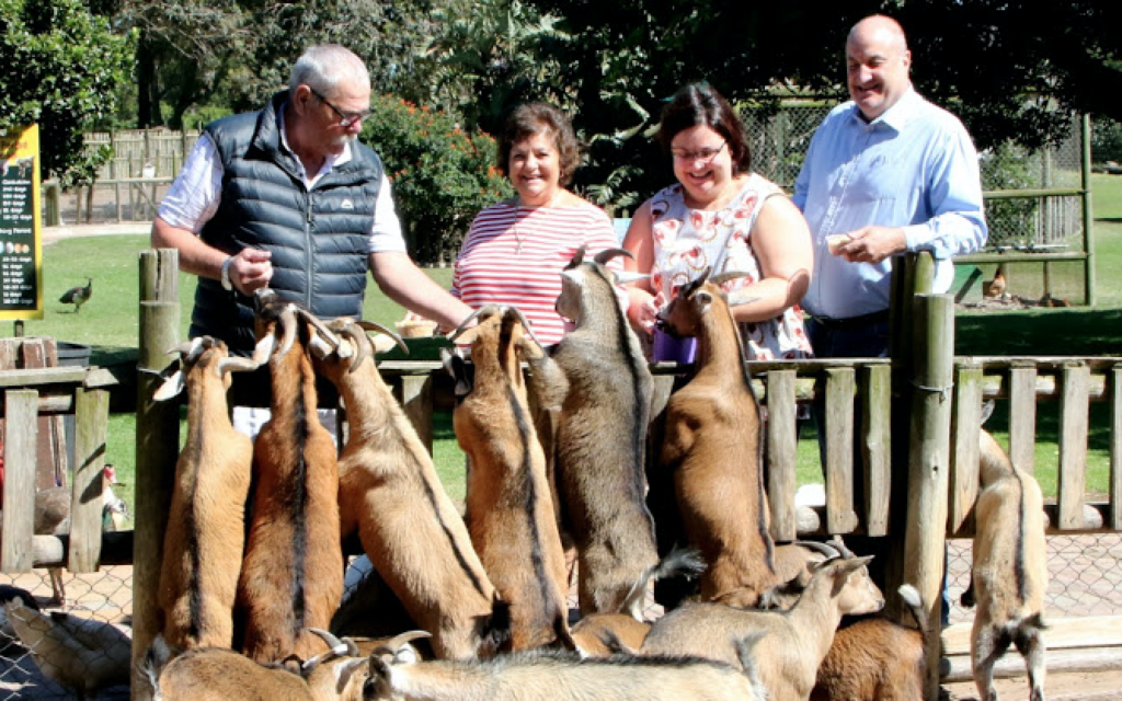 Family feeding goats at Holmeleigh Farmyard near Port Elizabeth